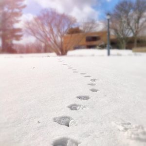 Image post by @fairfieldu on Instagram