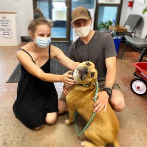 Image post by @spokhumanesoc on Instagram