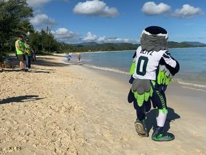 Image post by @blitztheseahawk on Instagram