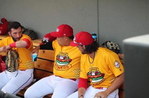 Image post by @thechicagodogs on Instagram
