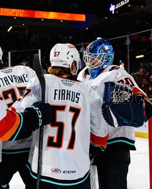 Image post by @firebirds on Instagram