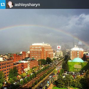 Image post by @applytobu on Instagram