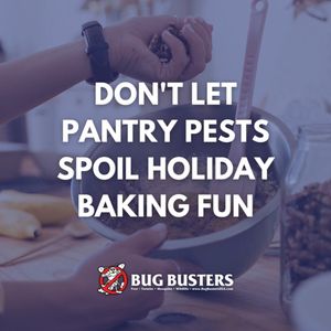 Video post by @bugbustersusa on Facebook
