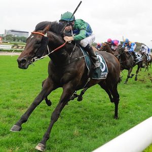 Image post by @australianturfclub on Instagram