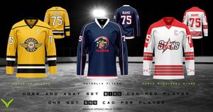 Image post by @verberohockey on Instagram