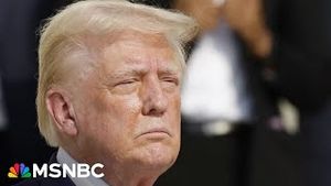 Video post by @msnbc on YouTube