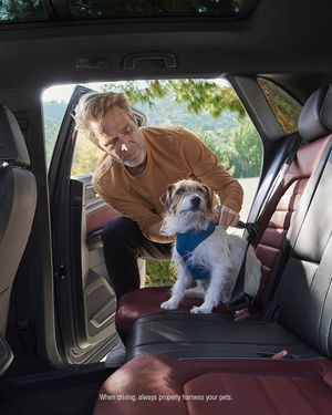Image post by @vw on Instagram