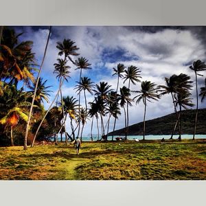 Image post by @emmalovewell on Instagram
