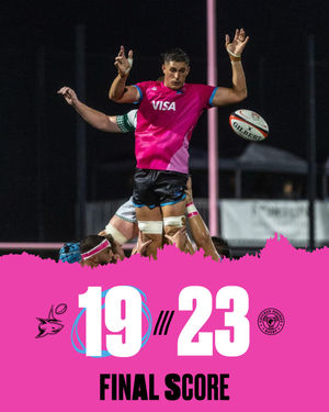 Image post by @miasharksrugby on Instagram