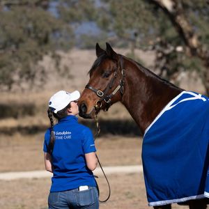 Image post by @australianturfclub on Instagram