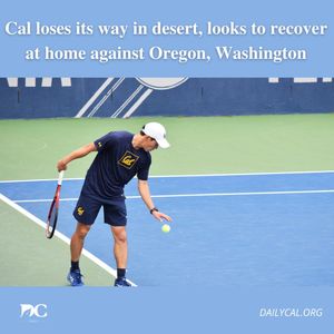 Image post by @dailycalsports on Instagram