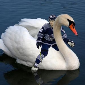 Image post by @pcolaiceflyers on Instagram