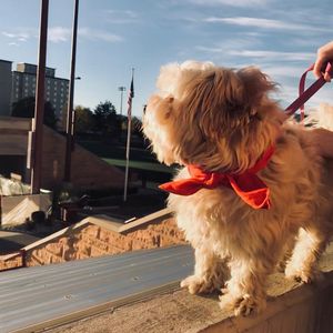 Image post by @denverpioneers on Instagram
