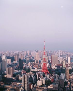 Image post by @moment on Instagram