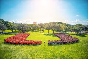 Image post by @univmiami on Instagram