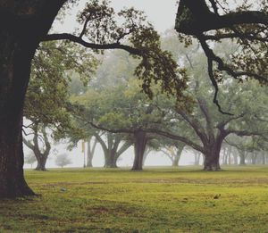 Image post by @officialsouthernmiss on Instagram