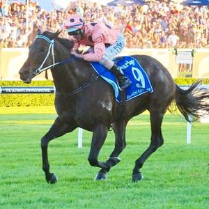 Image post by @australianturfclub on Instagram