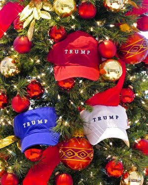Image post by @trump on Instagram