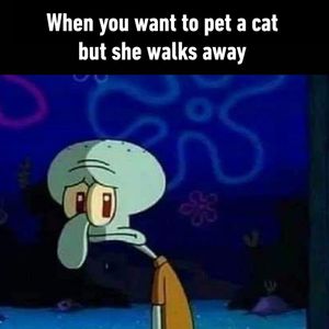 Image post by @9gag on Instagram