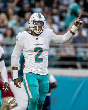Image post by @dolphins_esp on Instagram