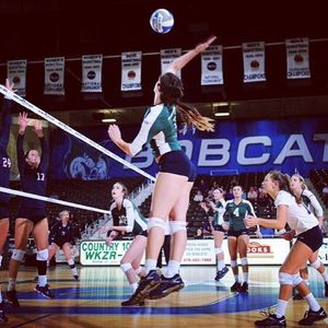 Image post by @gcsubobcats on Instagram