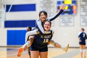 Image post by @smlions on Instagram