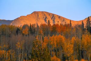 Image post by @winterparkresort on Instagram