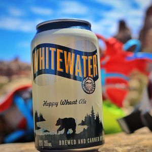 Image post by @greatdividebrew on Instagram