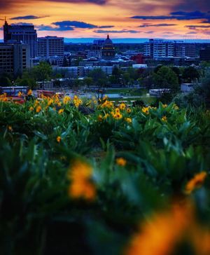 Image post by @boise_bucketlist on Instagram