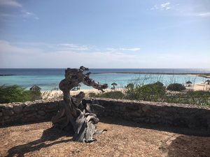 Image post by @kinikinitours on Instagram