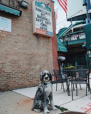 Image post by @murphysbleachers on Instagram