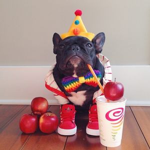 Image post by @jambajuice on Instagram