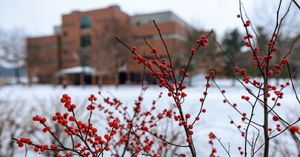 Image post by @iupedu on Instagram