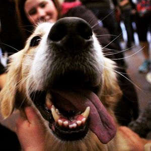 Image post by @seattleu on Instagram