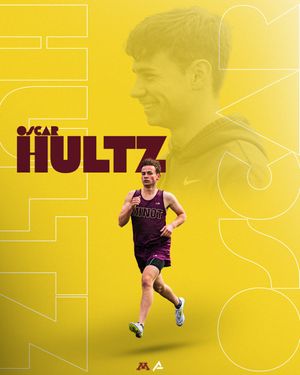 Image post by @arbaut_ on Twitter