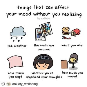 Image post by @csuamplify on Instagram