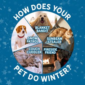 Image post by @evolvepetfood on Instagram