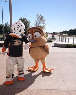 Video post by @anaheimducks on Facebook