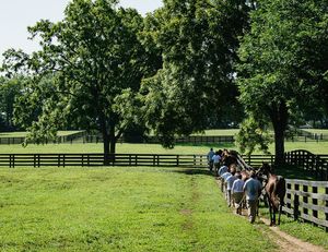 Image post by @spendthriftfarm on Instagram