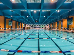 Image post by @borregostec on Instagram