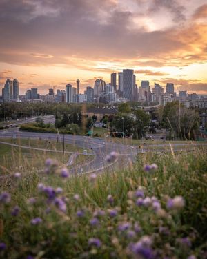 Image post by @cityofcalgary on Instagram