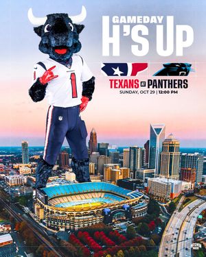 Image post by @texanstoro1 on Instagram