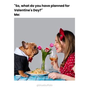 Image post by @bluebuffalo on Instagram