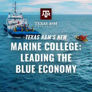 Image post by @TAMU on Twitter