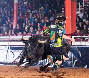 Image post by @bullfightersonly on Instagram