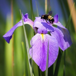 Image post by @nolanews on Instagram