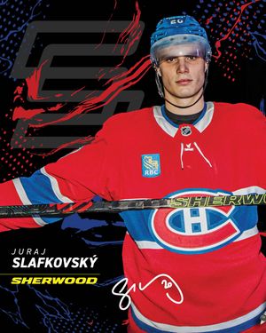 Image post by @sherwoodhockey on Instagram