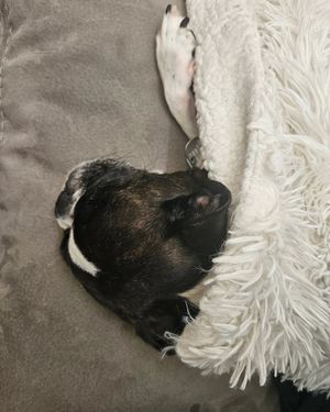 Image post by @gillotinegrace on Instagram