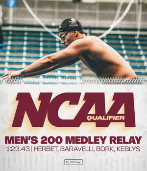 Image post by @fsuswimdive on Instagram