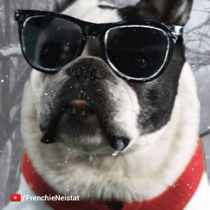 Image post by @youtube on Instagram